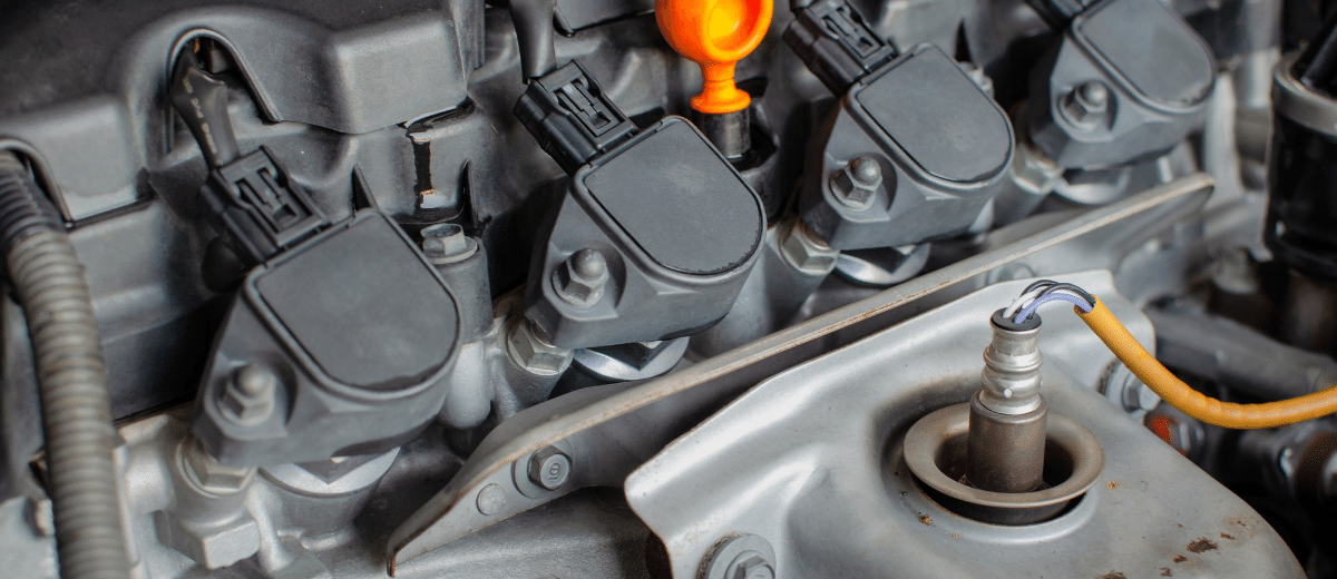 Joni Ricardo Fernandes Duarte