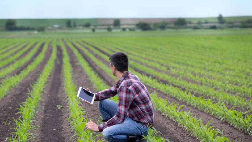Carlos Eduardo Moraes Nunes