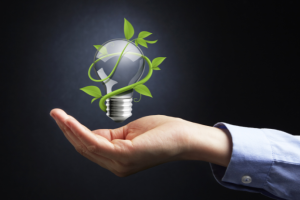 Bruno Garcia Redondo analisa os avanços e os desafios da responsabilidade civil em casos de danos ambientais.