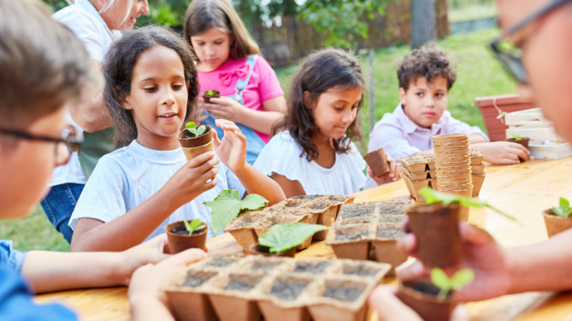 Educação ambiental começa no chão da escola: veja com Lina Rosa Gomes Vieira da Silva.