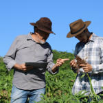 Como a agricultura moldou o surgimento das civilizações ao longo da história, João Eustáquio De Almeida Junior analisa seu impacto na organização social e no desenvolvimento humano.