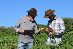 Como a agricultura moldou o surgimento das civilizações ao longo da história, João Eustáquio De Almeida Junior analisa seu impacto na organização social e no desenvolvimento humano.