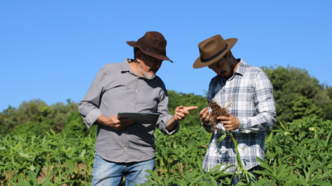 Como a agricultura moldou o surgimento das civilizações ao longo da história, João Eustáquio De Almeida Junior analisa seu impacto na organização social e no desenvolvimento humano.