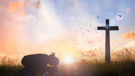 Jose Eduardo Oliveira e Silva reflete sobre a Palavra de Deus como alimento que sustenta e transforma o coração humano.