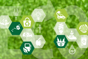 Sustentabilidade além do discurso: como Diohn do Prado transforma intenção em prática no dia a dia.