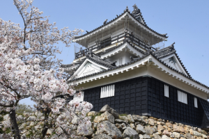 Alberto Toshio Murakami