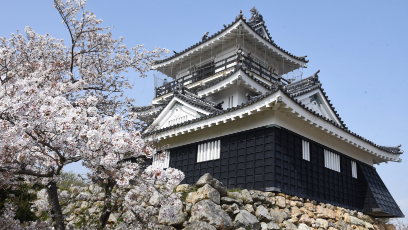 Alberto Toshio Murakami