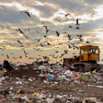 Versa Engenharia Ambiental Ltda