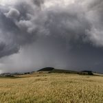 Lavoura de trigo sob um céu carregado de nuvens de tempestade.
