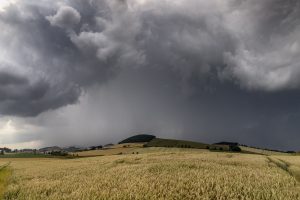 Lavoura de trigo sob um céu carregado de nuvens de tempestade.